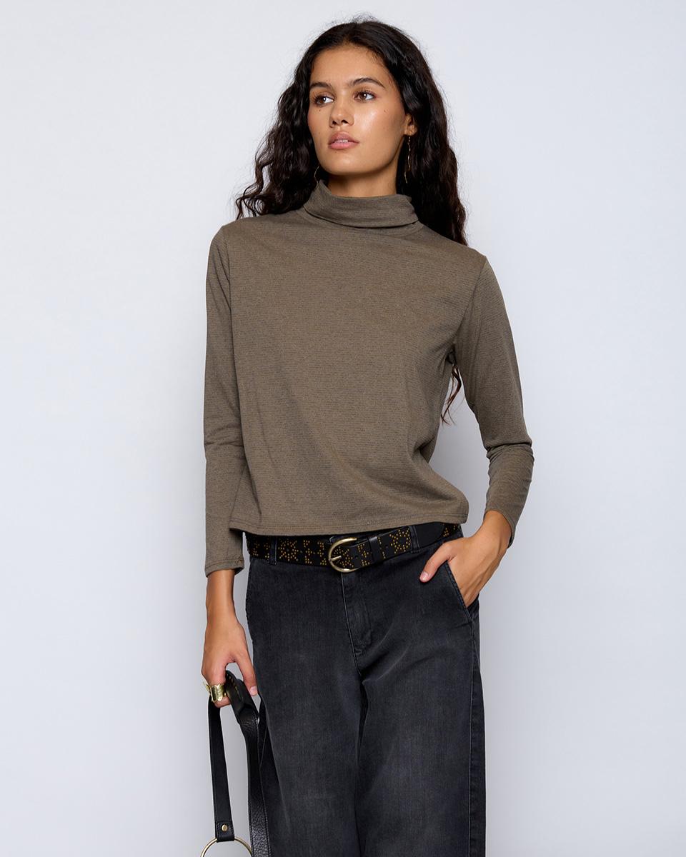 Brown Striped Turtleneck T-Shirt